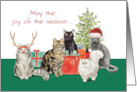 Cat Christmas and Better New Year card