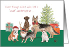 Dogs Funny New Year 2025 Old Year Catastophe card