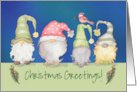 Funny Gnome Greetings on Christmas Holidays card