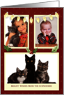 Three Photo Personalize From Name Light String Red Polka Dots Holiday card