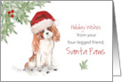 Christmas From Cavalier King Charles Spaniel Dog in Funny Santa Hat card
