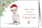 From Wire Haired Jack Russell Terrier Christmas Dog in Funny Santa Hat card