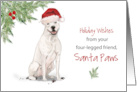 American Staffordshire Terrier Christmas From Dog in Funny Santa Hat card