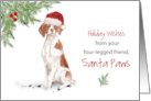 Brittany Christmas From Dog in Funny Santa Hat card