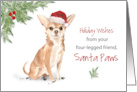 Chihuahua Christmas From Dog in Funny Santa Hat card