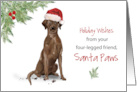 Brown Labrador Retriever Christmas From Dog in Funny Santa Hat card