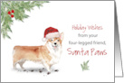 Corgi Christmas From Dog in Funny Santa Hat card