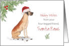 Great Dane Christmas From Dog in Funny Santa Hat card