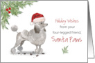 Grey Poodle Christmas From Dog in Funny Santa Hat card