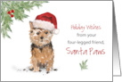Norfolk Terrier Christmas From Dog in Funny Santa Hat card
