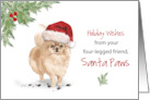 Pommeranian Christmas From Dog in Funny Santa Hat card