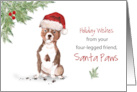 Staffordshire Bull Terrier Christmas From Dog in Funny Santa Hat card