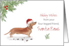 Tan Dachshund Christmas From Dog in Funny Santa Hat card