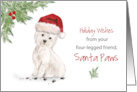 Westie Christmas From Dog in Funny Santa Hat card