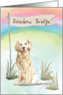 Golden Retriever Pet Sympathy Over Rainbow Bridge card