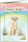 Yellow Lab Pet Sympathy Over Rainbow Bridge card