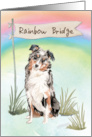 Australian Shepherd Pet Sympathy Over Rainbow Bridge card