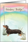 Black and Tan Dachshund Pet Sympathy Over Rainbow Bridge card