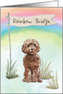 Brown Cockapoo Pet Sympathy Over Rainbow Bridge card