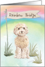 Champagne Cockapoo Pet Sympathy Over Rainbow Bridge card