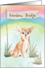 Chihuahua Pet Sympathy Over Rainbow Bridge card