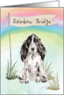 Cocker Spaniel Pet Sympathy Over Rainbow Bridge card