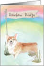 Corgi Pet Sympathy Over Rainbow Bridge card