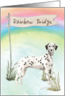 Dalmatian Pet Sympathy Over Rainbow Bridge card