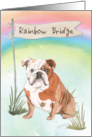 English Bulldog Pet Sympathy Over Rainbow Bridge card
