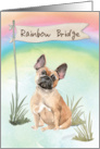 French Bulldog Pet Sympathy Over Rainbow Bridge card