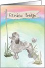 Grey Poodle Pet Sympathy Over Rainbow Bridge card
