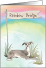 Italian Greyhound Pet Sympathy Over Rainbow Bridge card