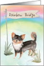 Long Haired Chihuahua Pet Sympathy Over Rainbow Bridge card