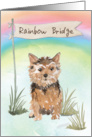 Norfolk Terrier Pet Sympathy Over Rainbow Bridge card