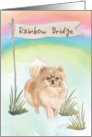 Pommeranian Pet Sympathy Over Rainbow Bridge card