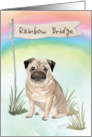 Pug Pet Sympathy Over Rainbow Bridge card