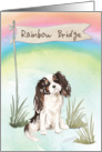Tri Colour King Charles Spaniel Pet Sympathy Over Rainbow Bridge card