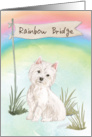 Westie Pet Sympathy Over Rainbow Bridge card