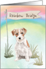 Wire Haired Jack Russell Pet Sympathy Over Rainbow Bridge card