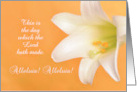 Easter Rejoice Give Thanks Custom Scripture Quote Alleluia Lily on Gol card