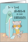 Age 12 Grandson Birthday Beach Funny Cool Raccoon in Sunglasses card