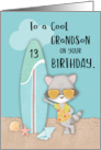 Age 13 Grandson Birthday Beach Funny Cool Raccoon in Sunglasses card