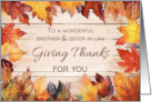  Brother and Sister in Law Thanksgiving Giving Thanks Autumn Leaves card