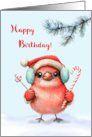  Winter Birthday Cute Bird in Santa Hat with Candy Canes card