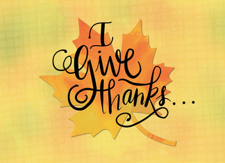 Give Thanks for...