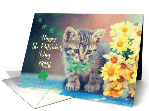 Friend St. Patricks Day Kitten with Yellow Daisies card (1601208)