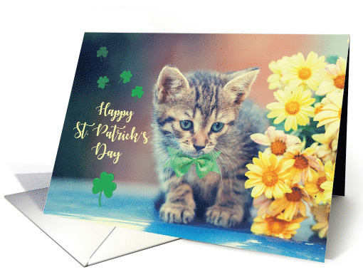 St. Patricks Day Kitten with Yellow Daisies card (1601274)