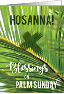 Palm Sunday Blessings Hosanna card