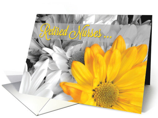 Retired Nurses Day Golden Gerbera Daisy on Black and White card