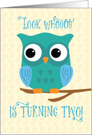 Son 2nd Birthday Owl Blue and Green card